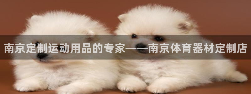 富联娱乐向 5o69I7:南京定制运动用品的专家——南京体育